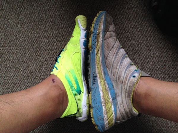 跑步是一门很深的学问,跑步是体能重要还是技巧