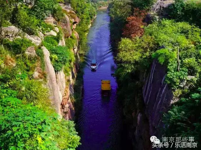 南京梅花赏花游记,好玩的摘草莓胜地打卡
