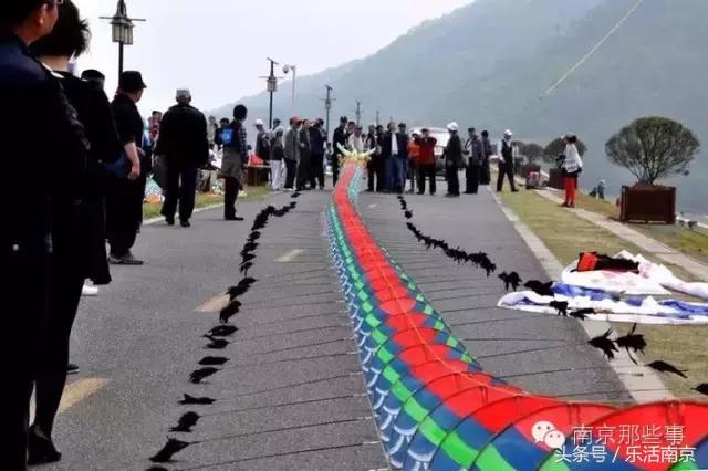 南京梅花赏花游记,好玩的摘草莓胜地打卡