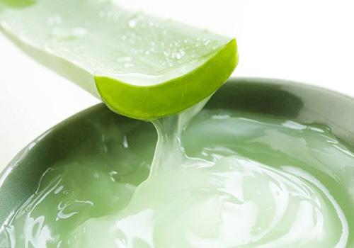 治疗肝火的植物,去肝火的植物