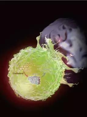 2021年中国科技成果回顾总结,2021年中国重大科技