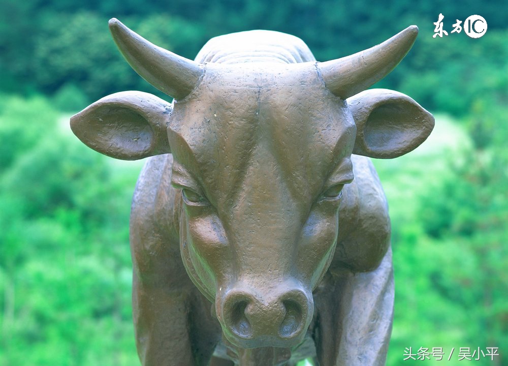 股市行情分析吴小平,吴小平对目前股市的走势判断