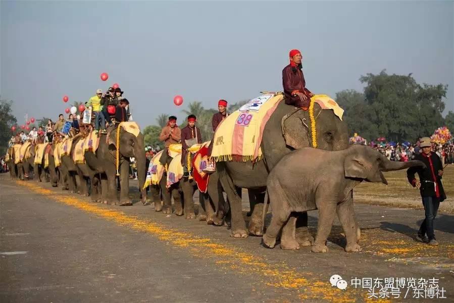 西班牙斗牛节是怎么回事,老挝斗牛节介绍