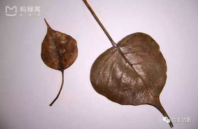 印度看病大师,印度医生看病视频