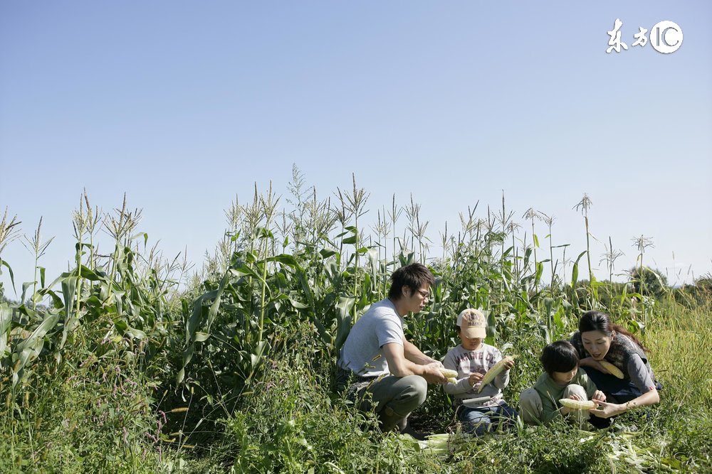 有合作社还可以办理家庭农场吗,有合作社可以申请家庭农场吗