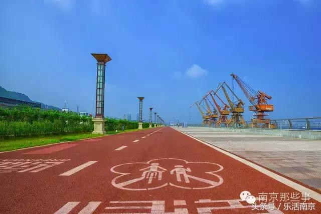 南京梅花赏花游记,好玩的摘草莓胜地打卡