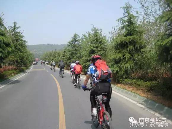 南京梅花赏花游记,好玩的摘草莓胜地打卡