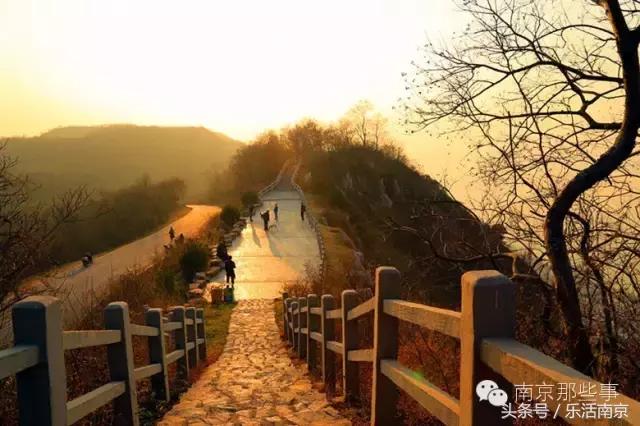 南京梅花赏花游记,好玩的摘草莓胜地打卡