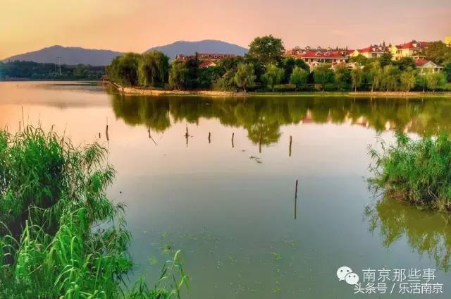 南京梅花赏花游记,好玩的摘草莓胜地打卡