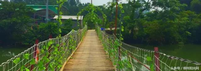 柳州附近农庄适合小孩玩,柳州周边农庄场地推荐