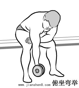 新手哑铃健身计划一周表,哑铃健身计划及标准动作图