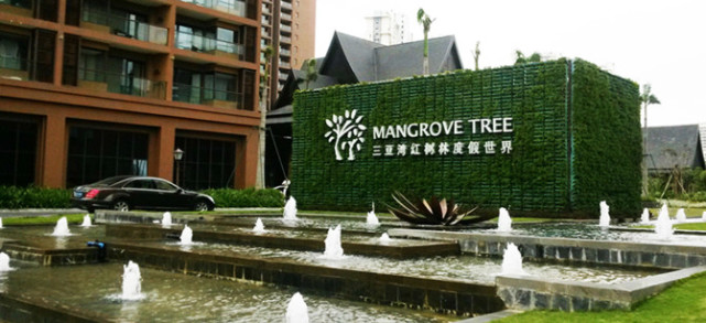 一次说走就走的旅游海南三亚,一次说走就走说回就回的旅行