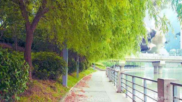 中国最牛学校黄埔,广东最强学校黄埔