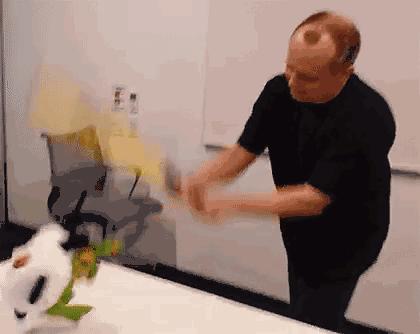 训犬技巧训狗定点排便,狗狗定点排便训练视频