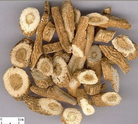 清热解毒杀虫止痒的中药有哪些,清热解毒的中药会使血压升高吗