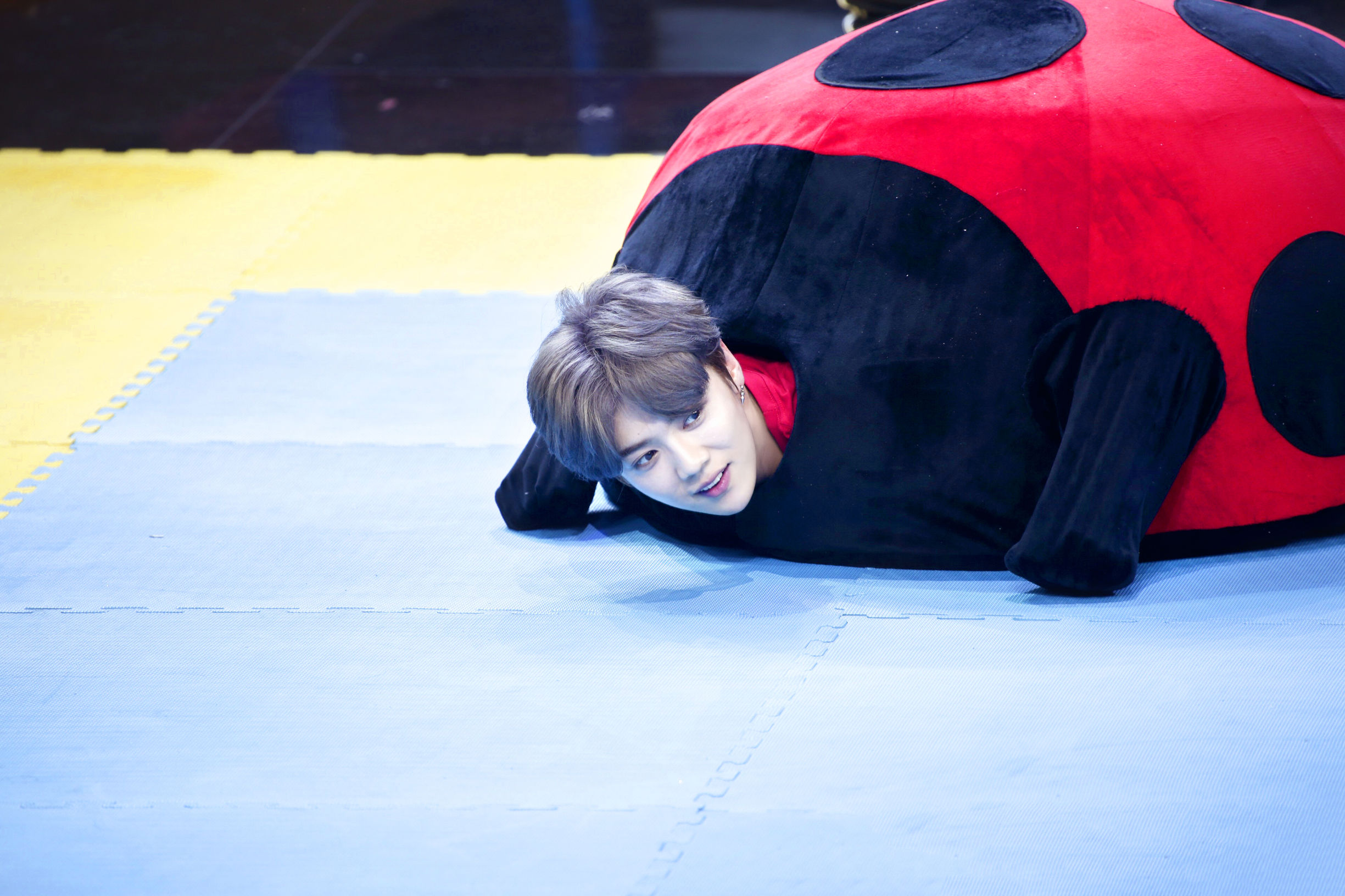 鹿晗粉丝星光大赏男粉丝,鹿晗手机壁纸超清无水印