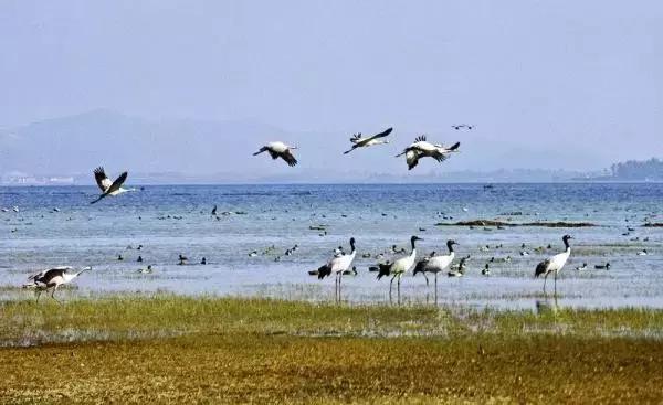 贵州各个县产值排名,贵州各县区生产总值