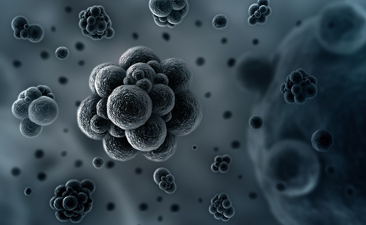 生命如何在地球上起源的？