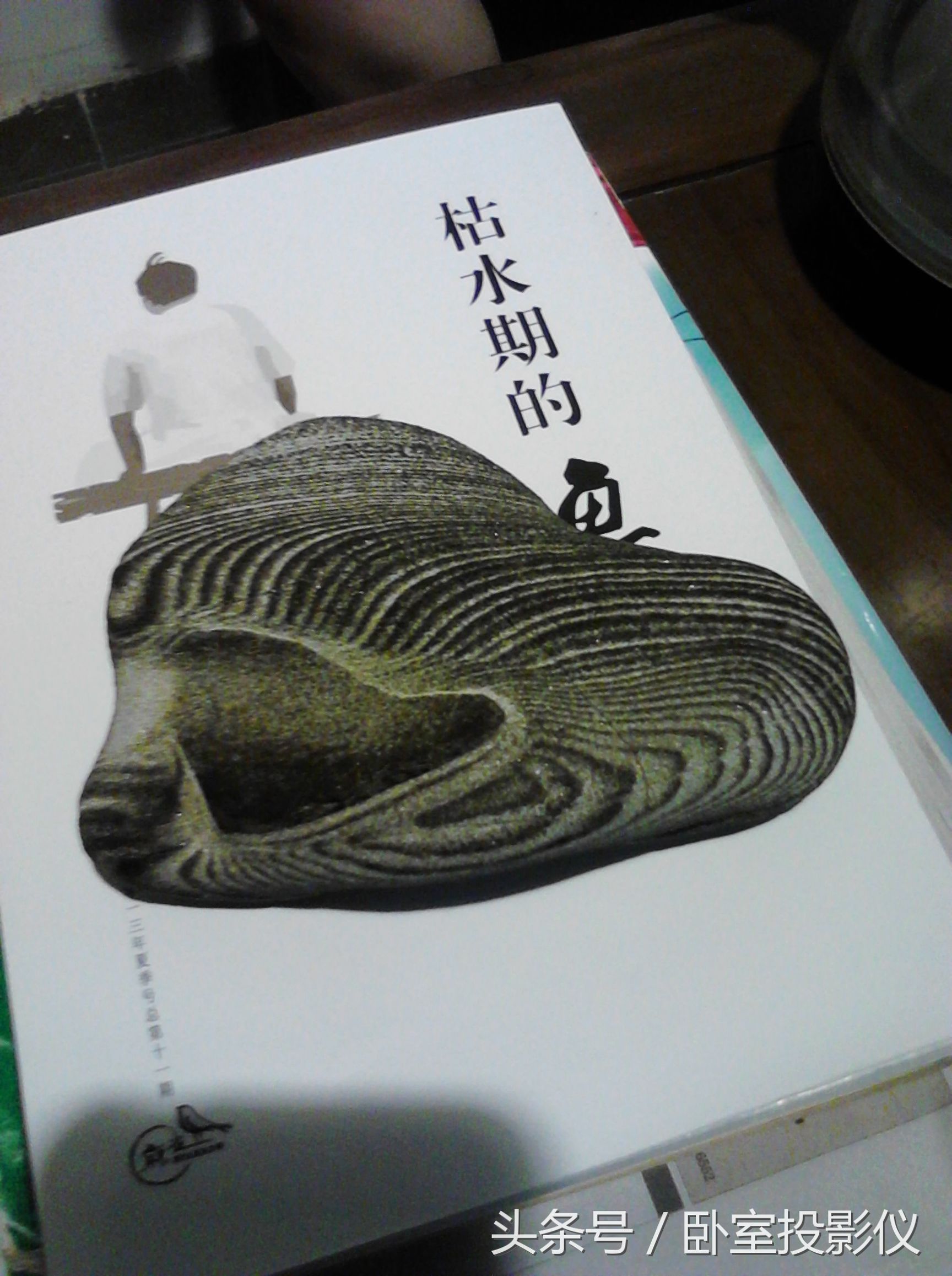 柳州曾经是建成区最大城市,柳州一个永远让你感到惊喜的城市