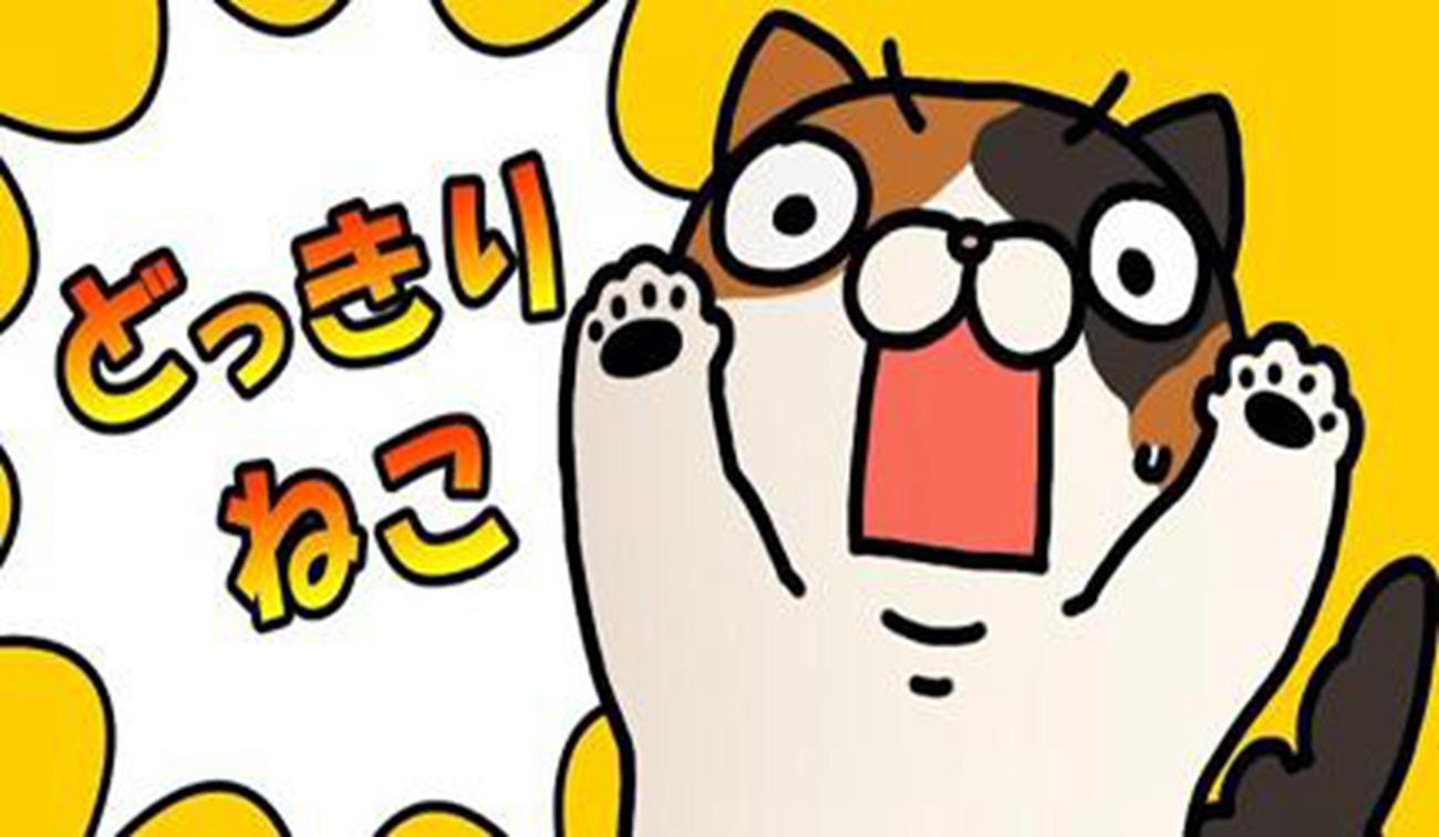 日本“央视”报道国内最强体育营销，且看努比亚如何深入体育产业