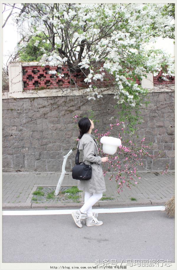 红瓦绿树的青岛八大关，这才是鲜明的青岛色彩