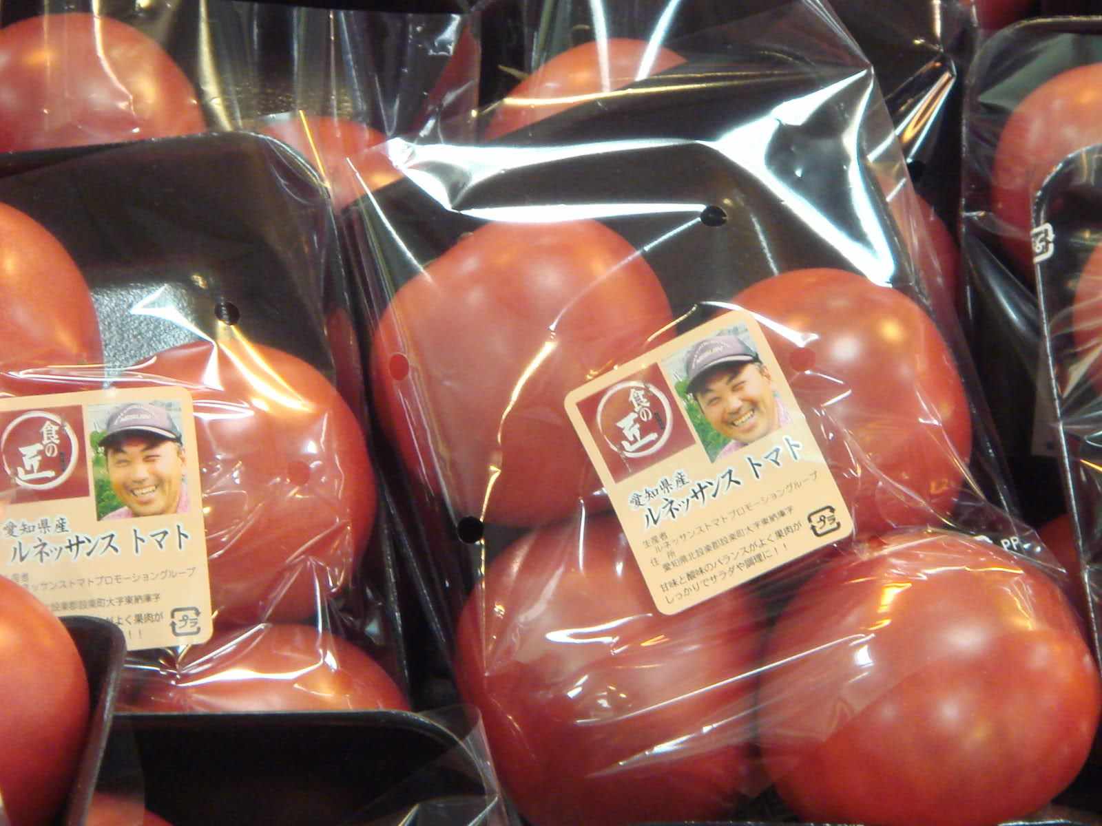 日本的西瓜为什么500块一个,日本方形西瓜是怎么种出来的