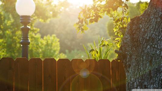 白癜风毛发变白还能治愈吗,白癜风毛发变白还能治好吗