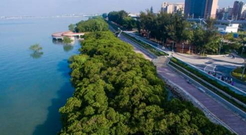 你认为的深圳和现实中的深圳,深圳小渔村发展到现在的变化