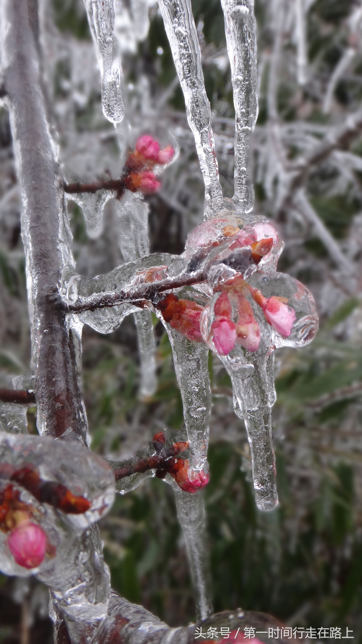 张家界浪漫之地,张家界最浪漫的婚纱