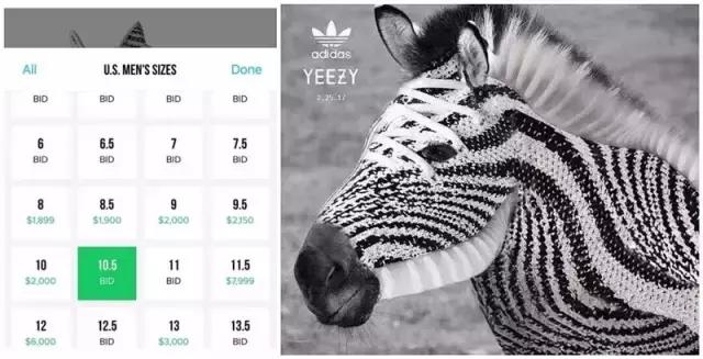 揭秘世界首富抄袭的真相,揭秘抄袭成为世界首富的真相