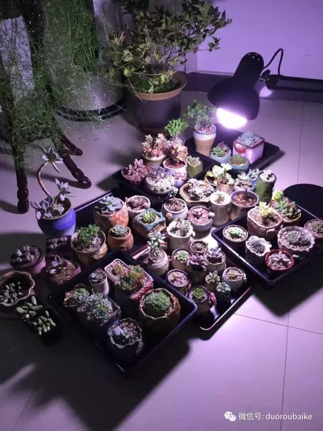 当大妈遇见帅哥,当大妈爱上邻家男孩