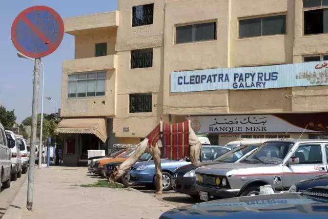 迪拜十大奇闻异事,迪拜不可思议十大发现