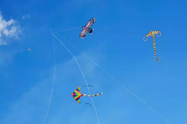 成都郫都区周边烧烤最佳景点,郫都最值得玩耍的地方