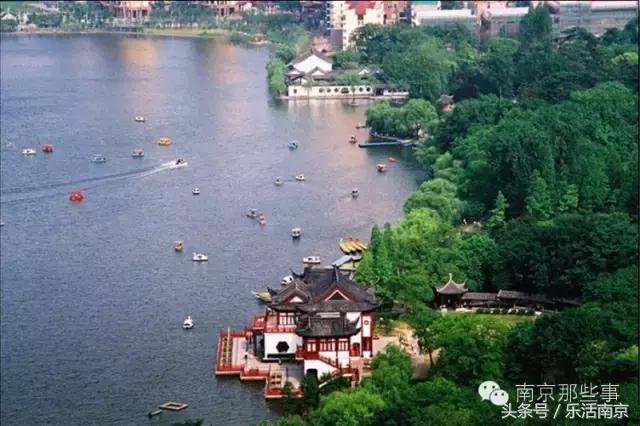 南京梅花赏花游记,好玩的摘草莓胜地打卡