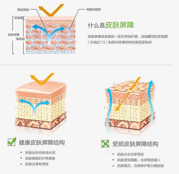 春季抗敏指南,春季抗敏用什么护肤品最好