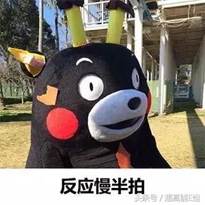 国产良心综艺完整版,口碑爆棚这部良心国产剧