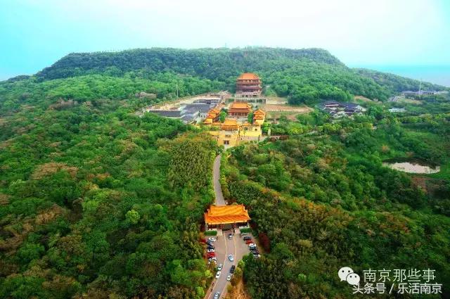 南京梅花赏花游记,好玩的摘草莓胜地打卡