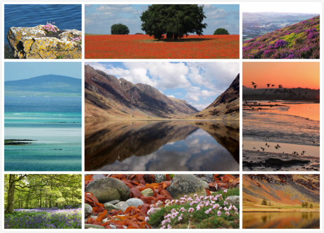 150年的坚持，换来最高品质的羊绒围巾----BeggCo