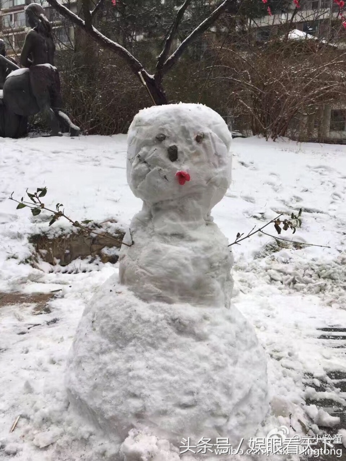 王源雪照,银装素裹王源完整版