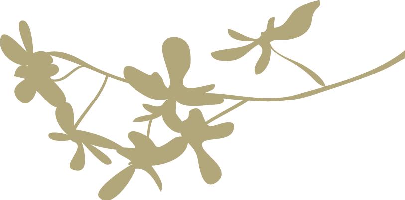 既然爱情抓不住，就让我痛痛快快地当个肥肠爱好者吧