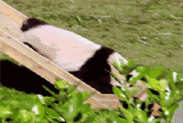 华锐风电股价最高是多少,股价从2元涨到10元是多少涨幅