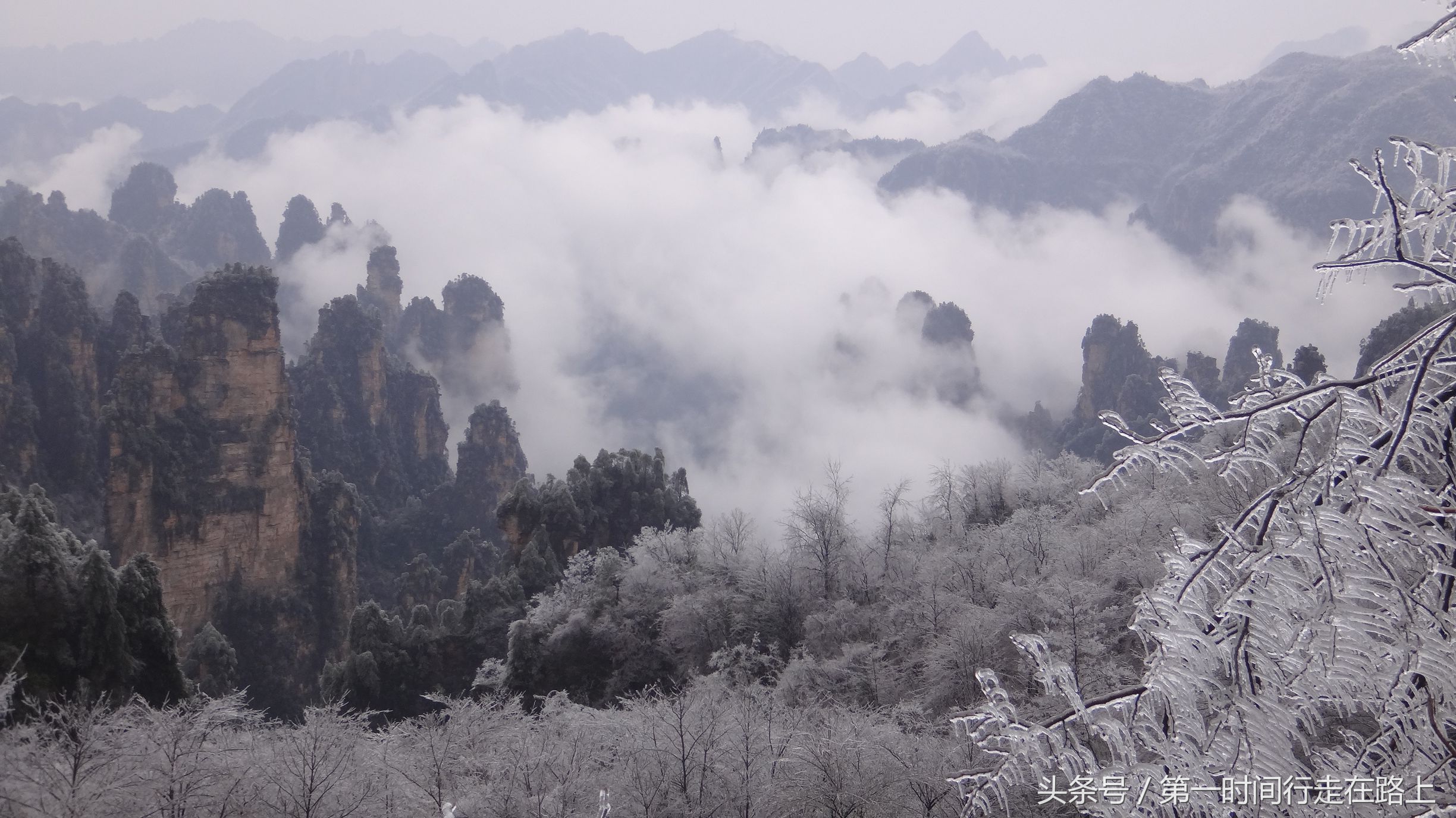 张家界浪漫之地,张家界最浪漫的婚纱