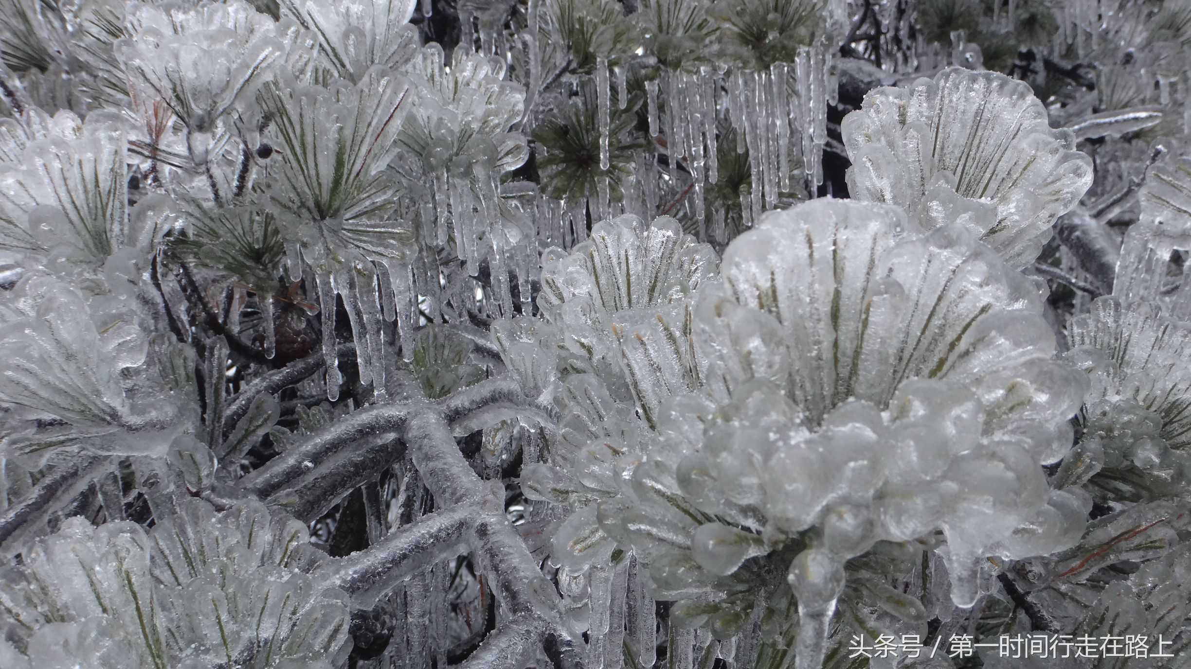 张家界浪漫之地,张家界最浪漫的婚纱