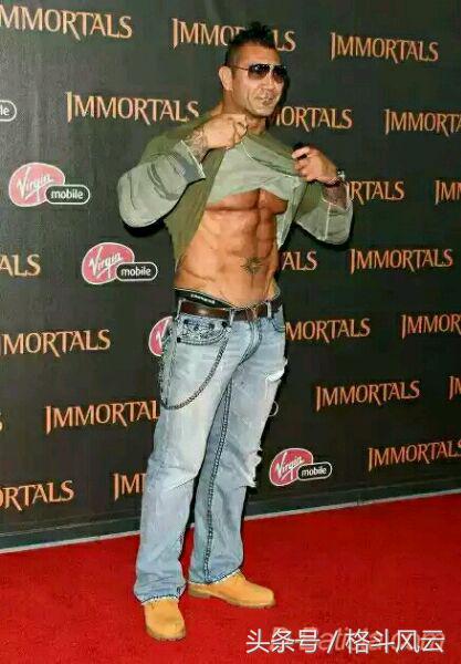 wwe摔角狂热大赛布洛克莱斯纳大狗,wwe重量级冠军猛兽布洛克莱斯纳