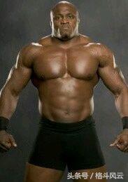 wwe摔角狂热大赛布洛克莱斯纳大狗,wwe重量级冠军猛兽布洛克莱斯纳