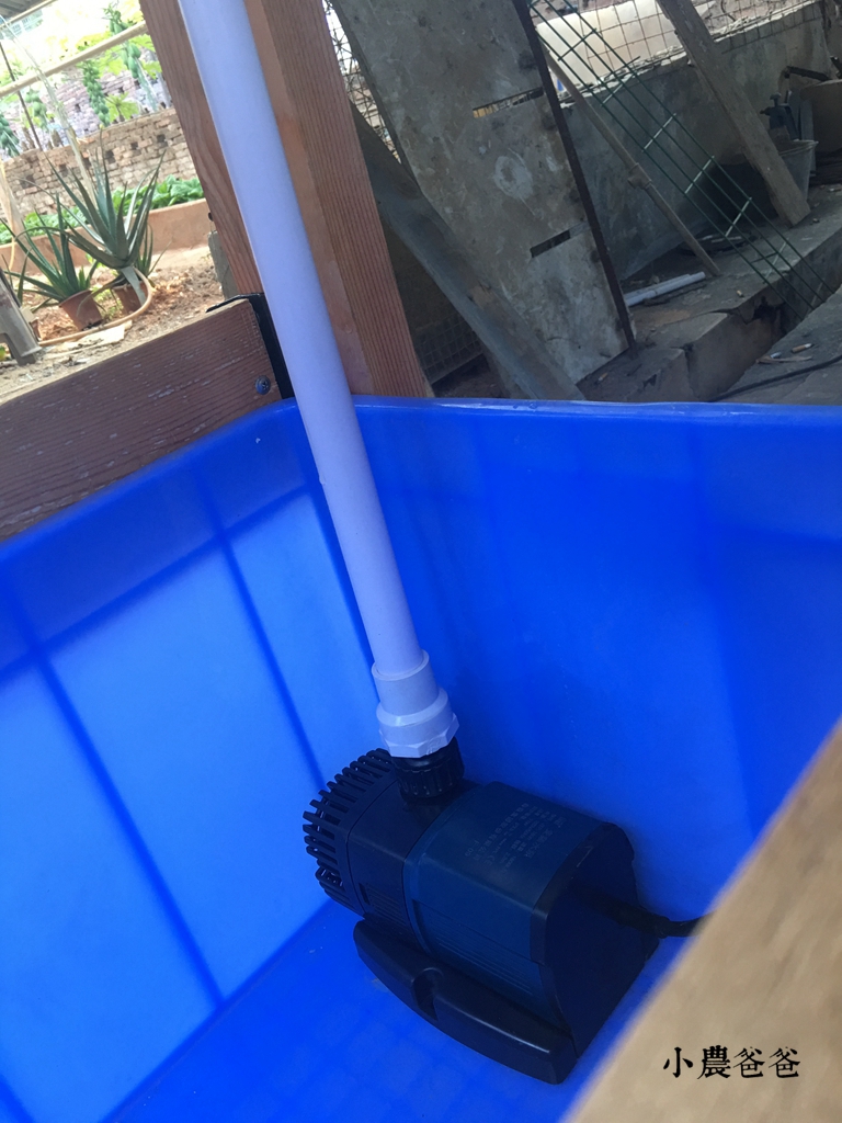 专业鱼菜共生系统设计,自制鱼菜共生系统设计