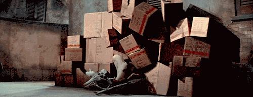 李小龙传奇李小龙巅峰对决,星海遗珠和幻彩之梦