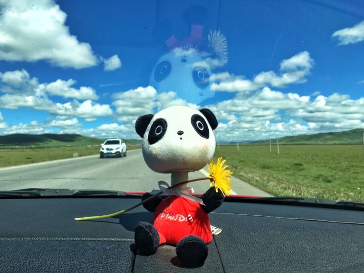 成都到青海湖最佳路线,成都去青海湖怎么去