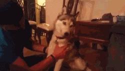 朋友人品不好如何和她绝交,遇到很损的朋友应该怎么办