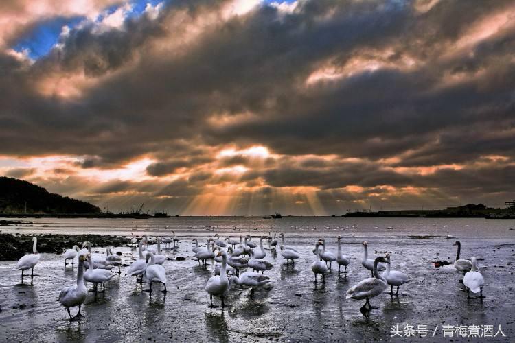 秦始皇祭祀山东,秦始皇山东祭祖